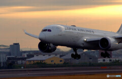 November MorningⅣ✈Boeing787-8