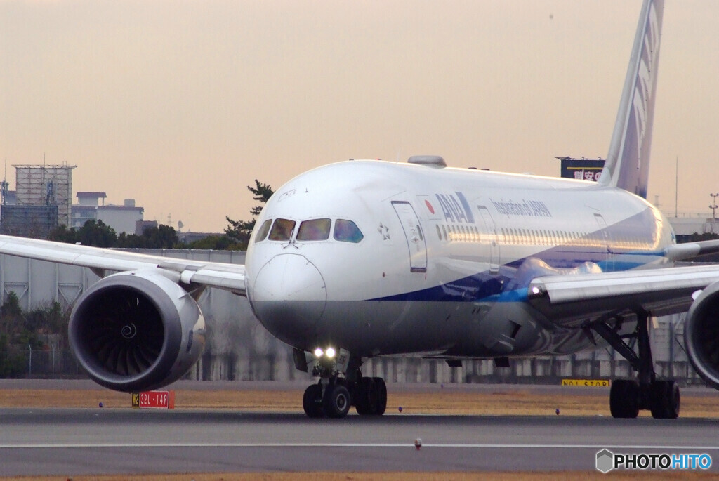 3月の旅人✈ANA Boeing787-8