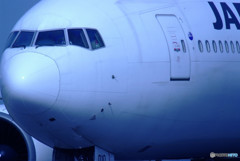 蒼の世界Ⅱ・JA010D 