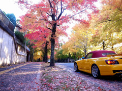HONDA S2000✿紅葉を駆ける