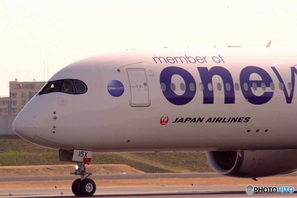 春色の空へ✈JA15XJ