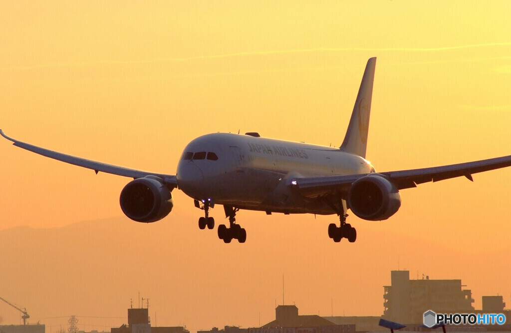 極月の朝✈Dreamliner