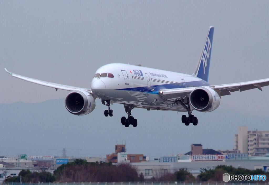 Sky WarriorⅡ✈787