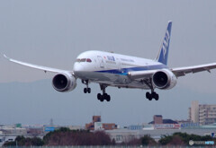 Sky WarriorⅡ✈787