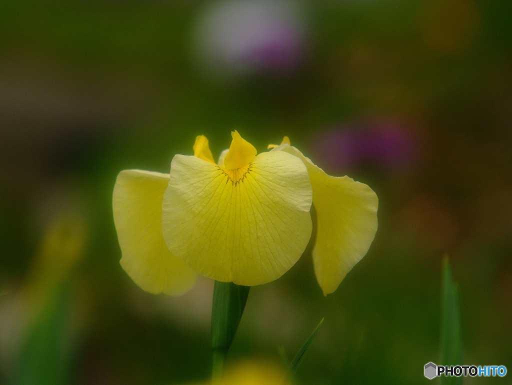 やすらかな時間