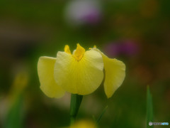 やすらかな時間