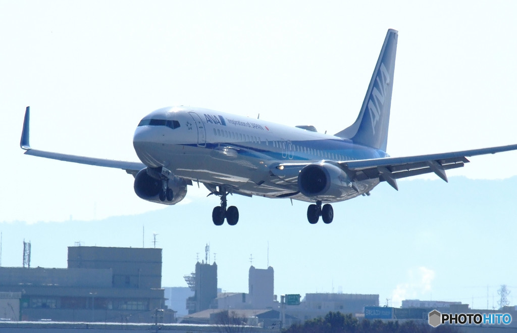 3月の青空・Wing