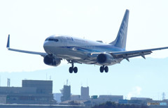 3月の青空・Wing