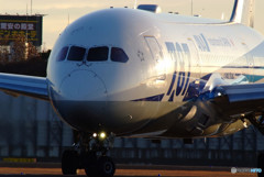 December light・Ⅴ