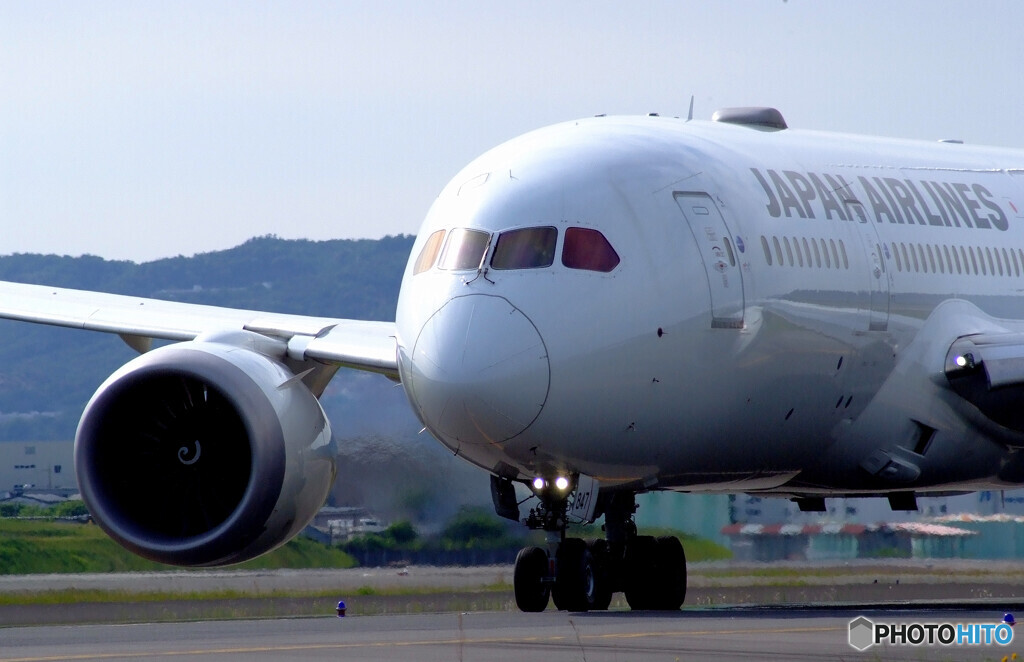 May Afternoon✈JA847J