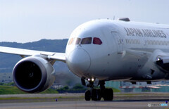 May Afternoon✈JA847J