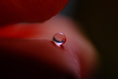 君は天然色Ⅵ・雫