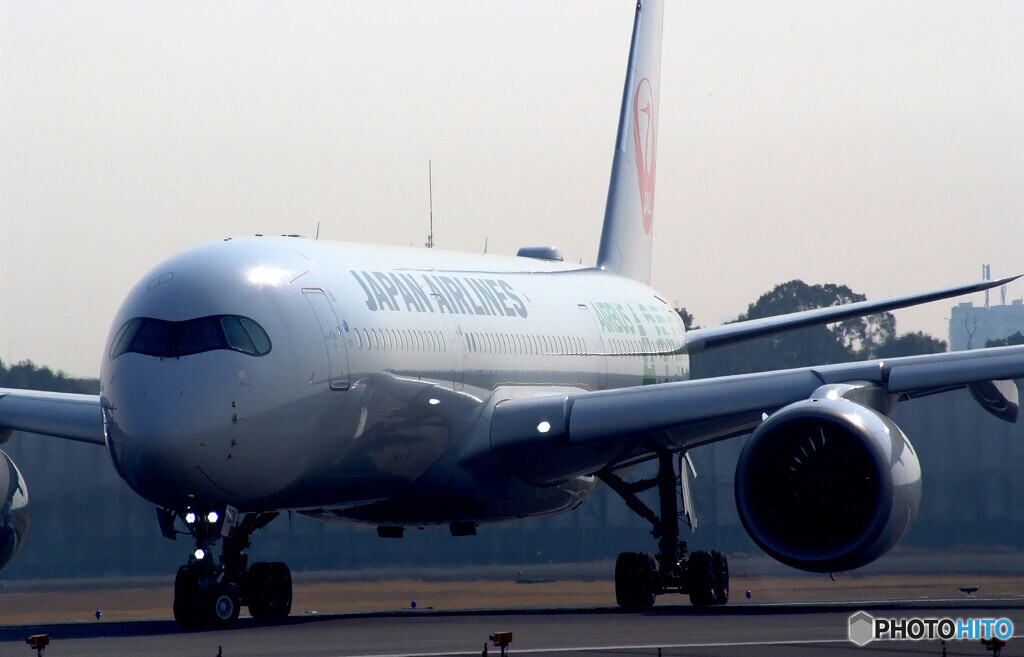 Nice Morning✈JA03XJ