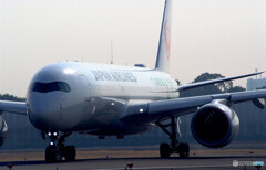 Nice Morning✈JA03XJ