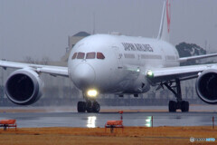 2月の雨✈JAL787