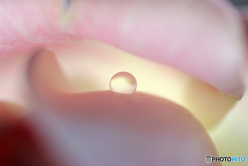望み・和心