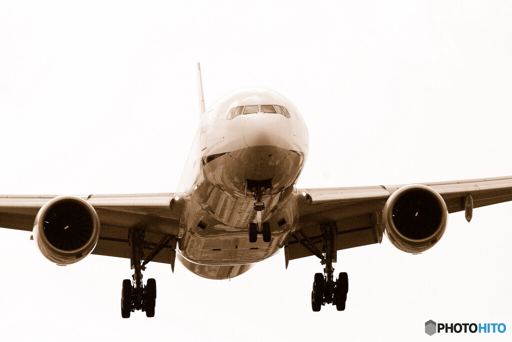 8月の空から・ANA