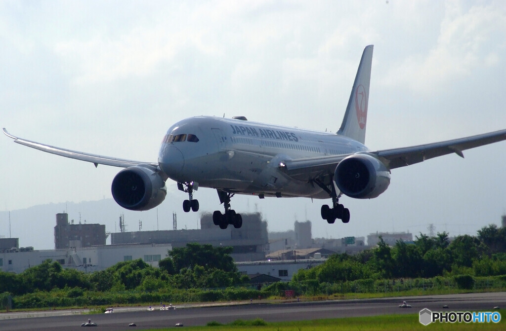 HARADAの夏✈787-8 Dreamliner