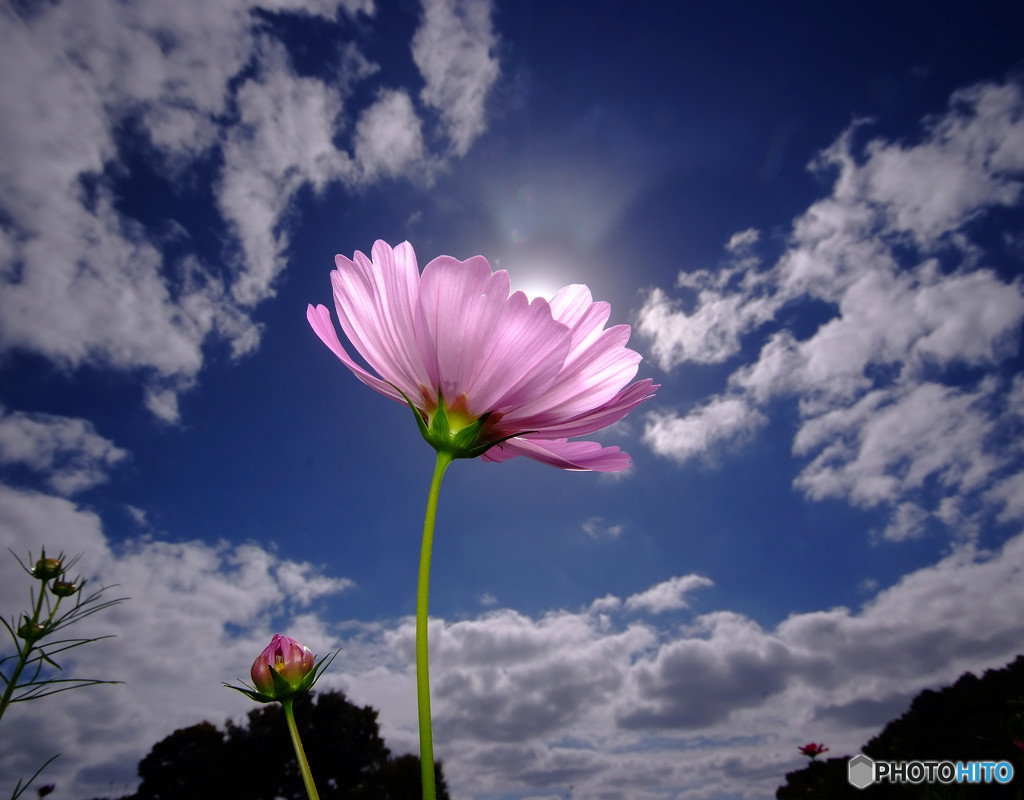 My Treasure・灯り