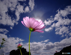 My Treasure・灯り