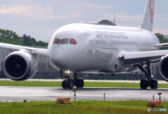 Good Luck✈JA849J