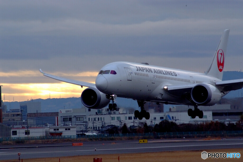 妄想の旅へⅤ✈Boeing 787-8