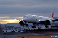 妄想の旅へⅤ✈Boeing 787-8 妄想の旅へⅤ✈Boeing 787-8