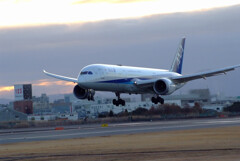 嘉月の空から✈Boeing787-9