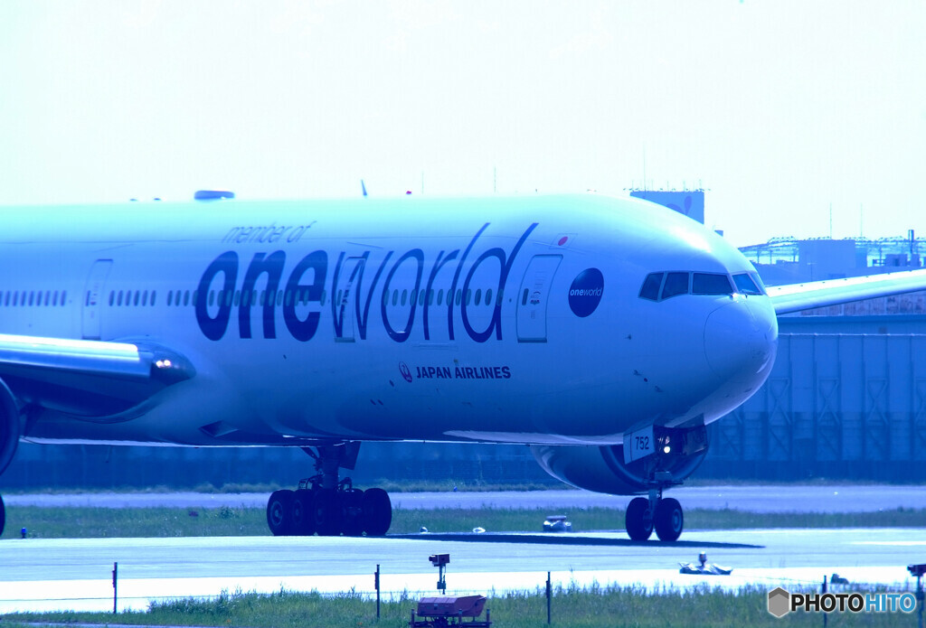 癒しの時間Ⅵ✈2020夏