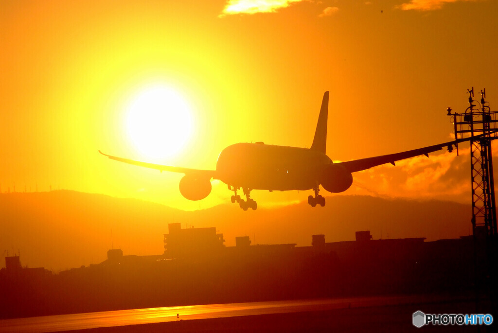 Coming of Age Day✈誓い