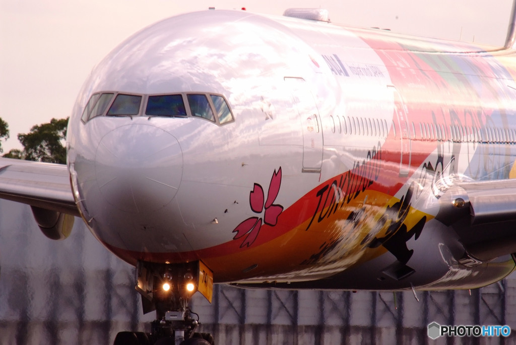 秋旅Ⅳ・飛行機に乗って