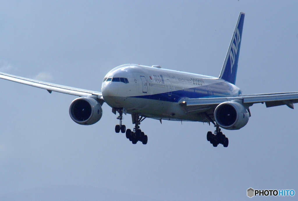 Delusion Travel・Ⅴ