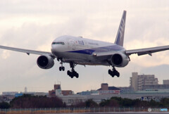 March Sky・777