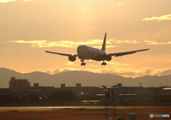 俺の朝焼け✈JA614A