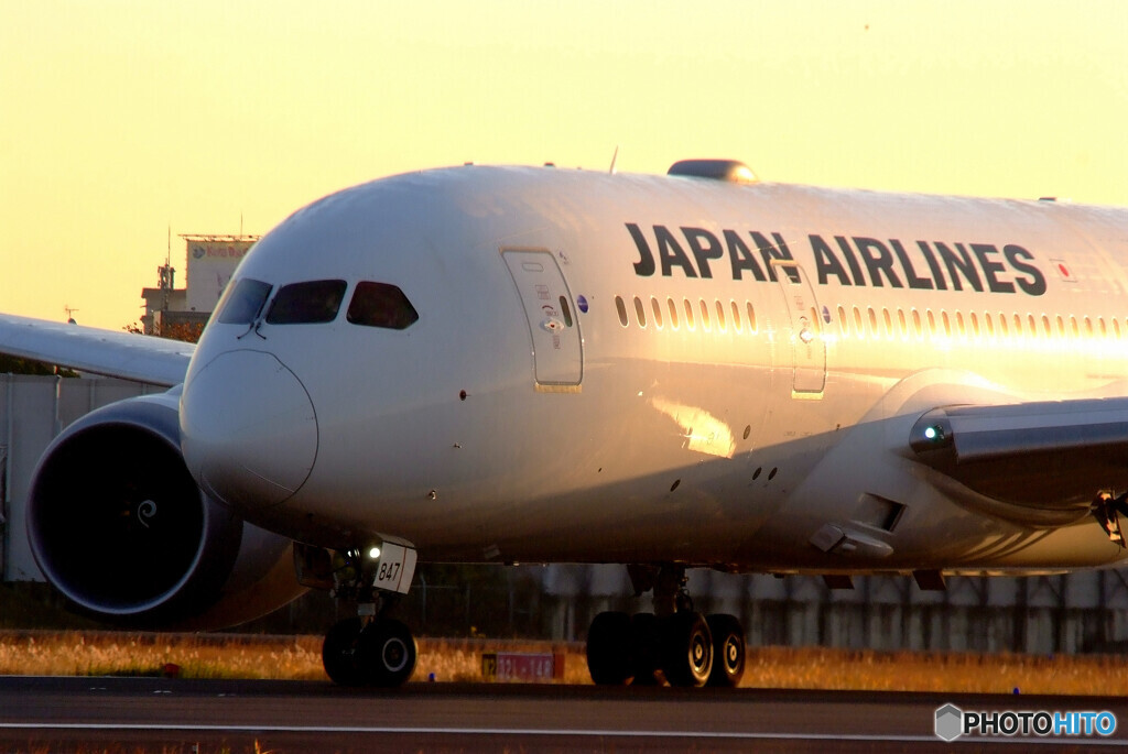 Weekend Hero✈JAL787