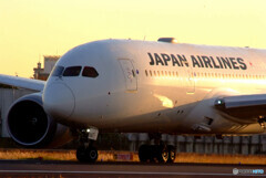 Weekend Hero✈JAL787