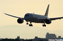 HARADAの空から✈Dreamliner