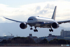 January Wings✈Boeing 787