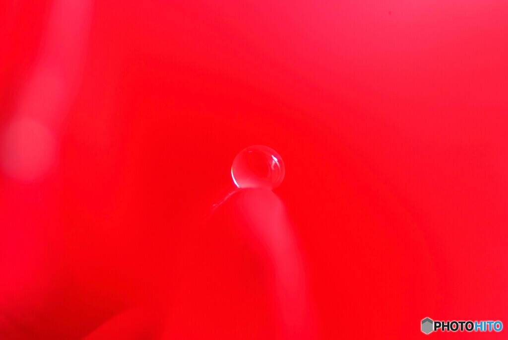 儚くも美しく・瞳