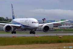 Delusional TripⅤ✈9月の翼