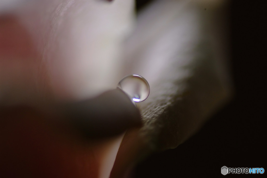 Drops of Tears・秋