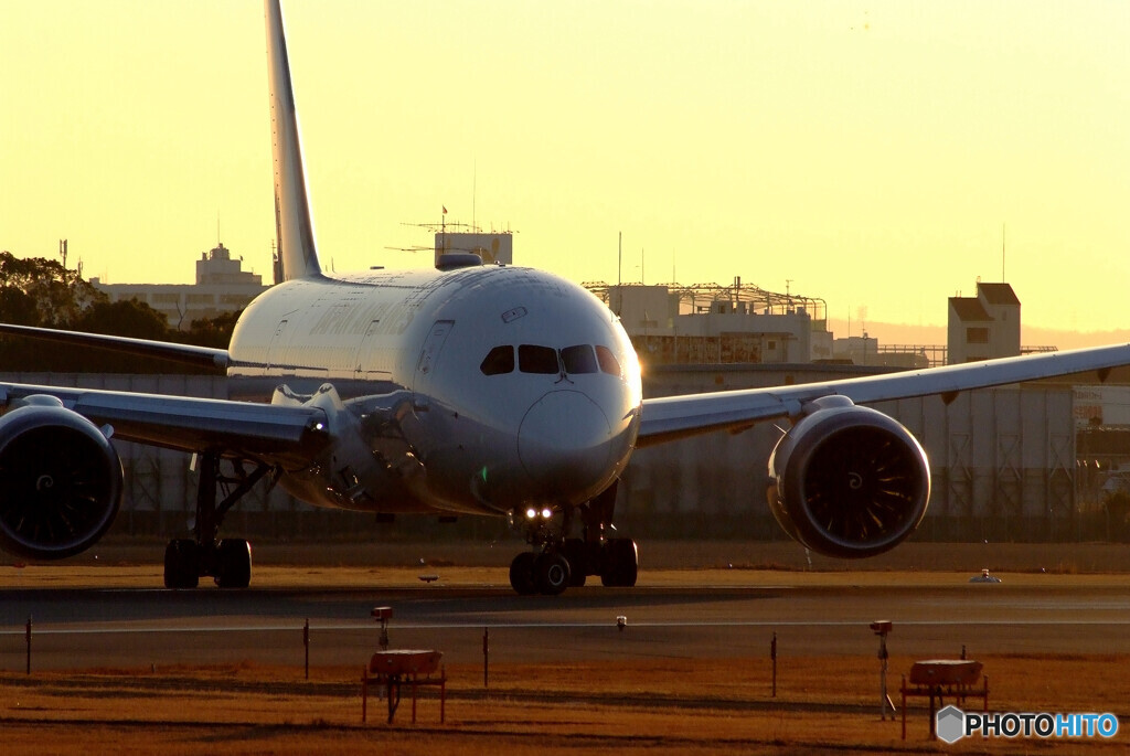 睦月の朝✈Boeing 787-8