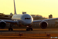 睦月の朝✈Boeing 787-8