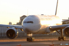 さよなら　ありがとう✈777-289