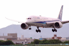 文月の翼・787-9