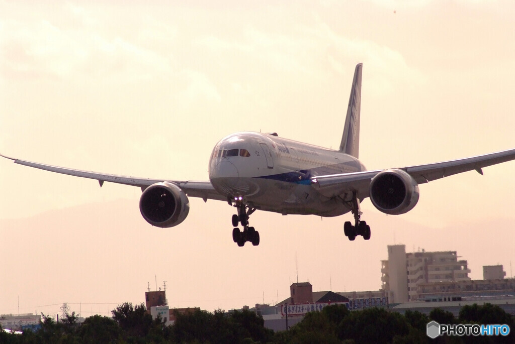 俺の翼✈Boeing 787-8