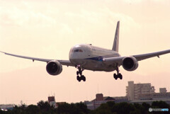 俺の翼✈Boeing 787-8