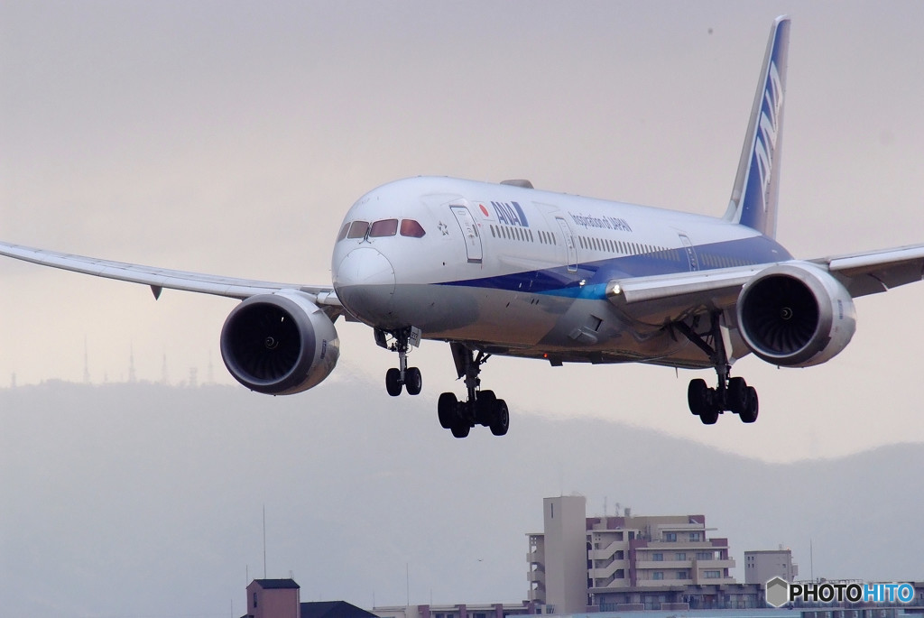 January Sky・Dreamliner 