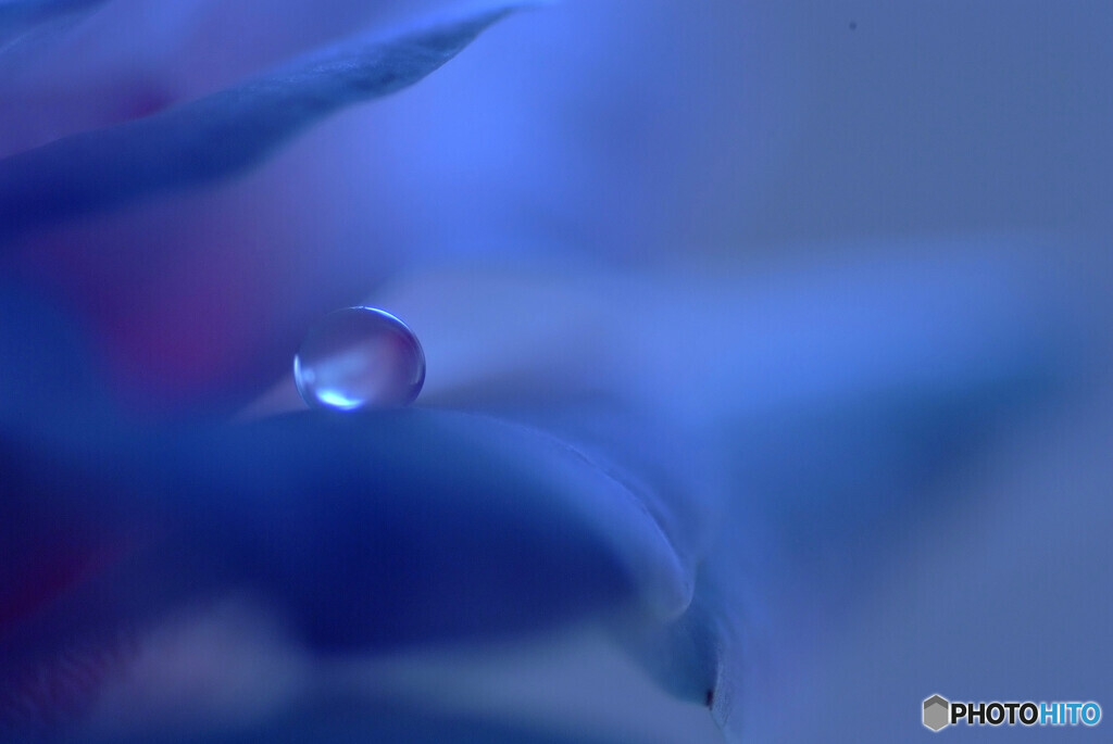 蒼の瞳✿葉月の雫