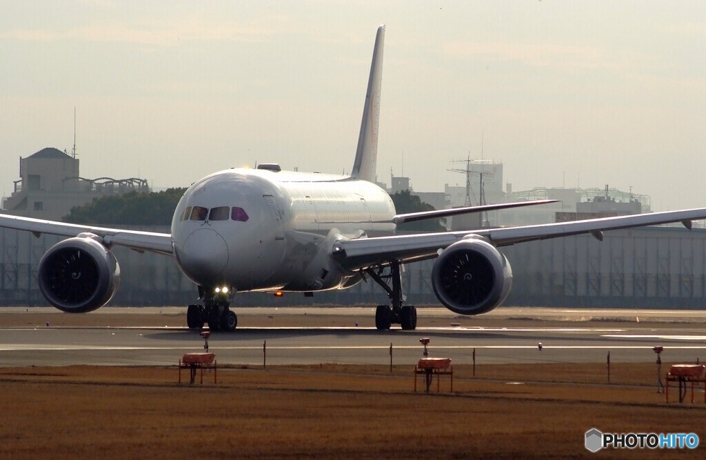 ITMの空へ✈JAL Boeing787-8